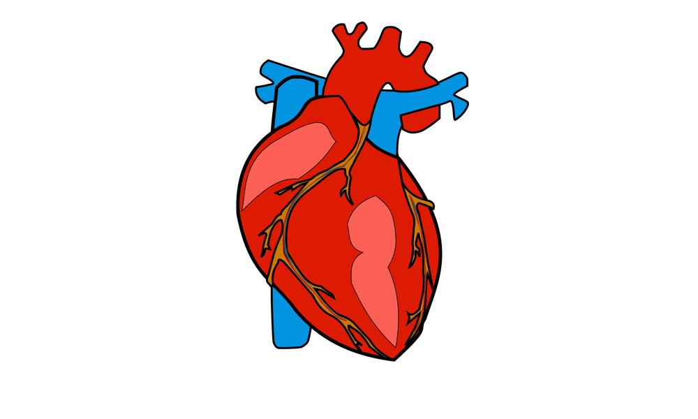 Illustration av ett hjärta.