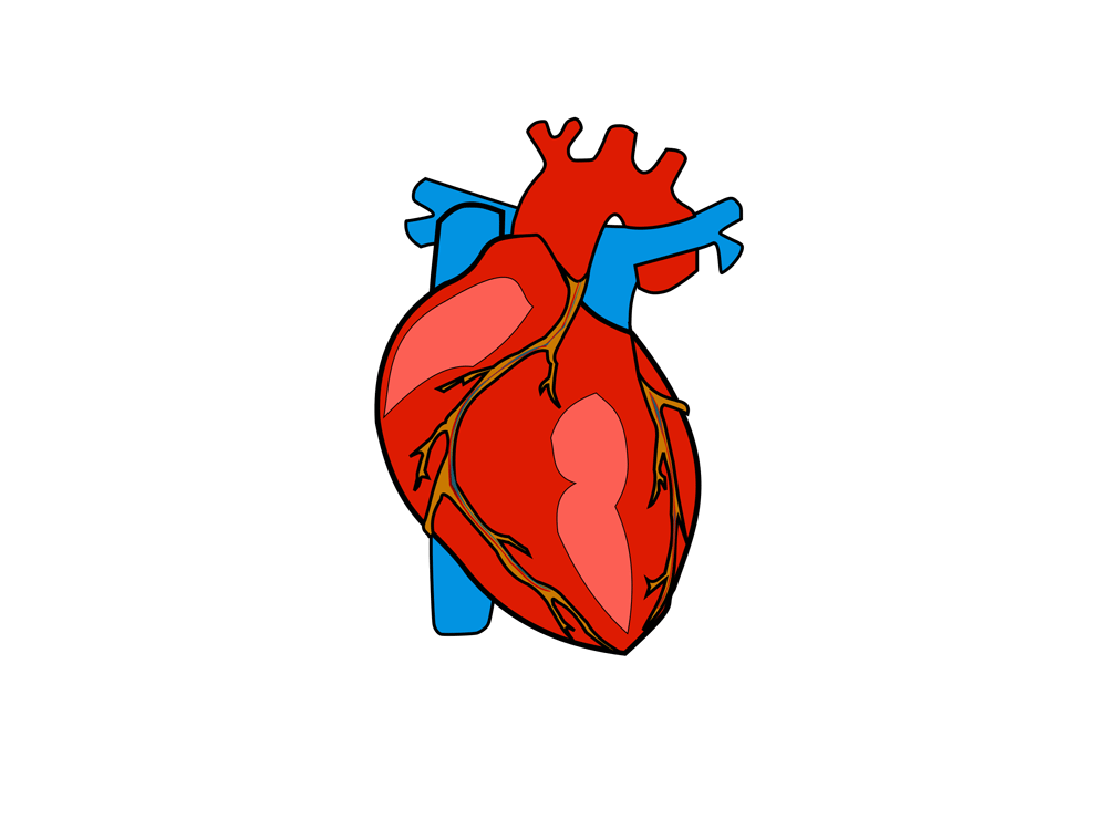 Illustration av ett hjärta.